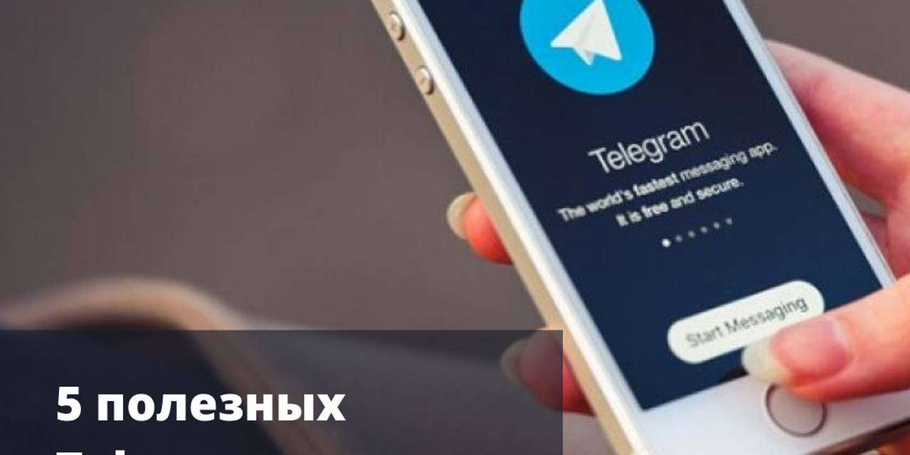5 полезных Telegram каналов